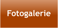 Fotogalerie