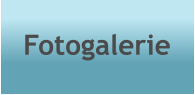 Fotogalerie